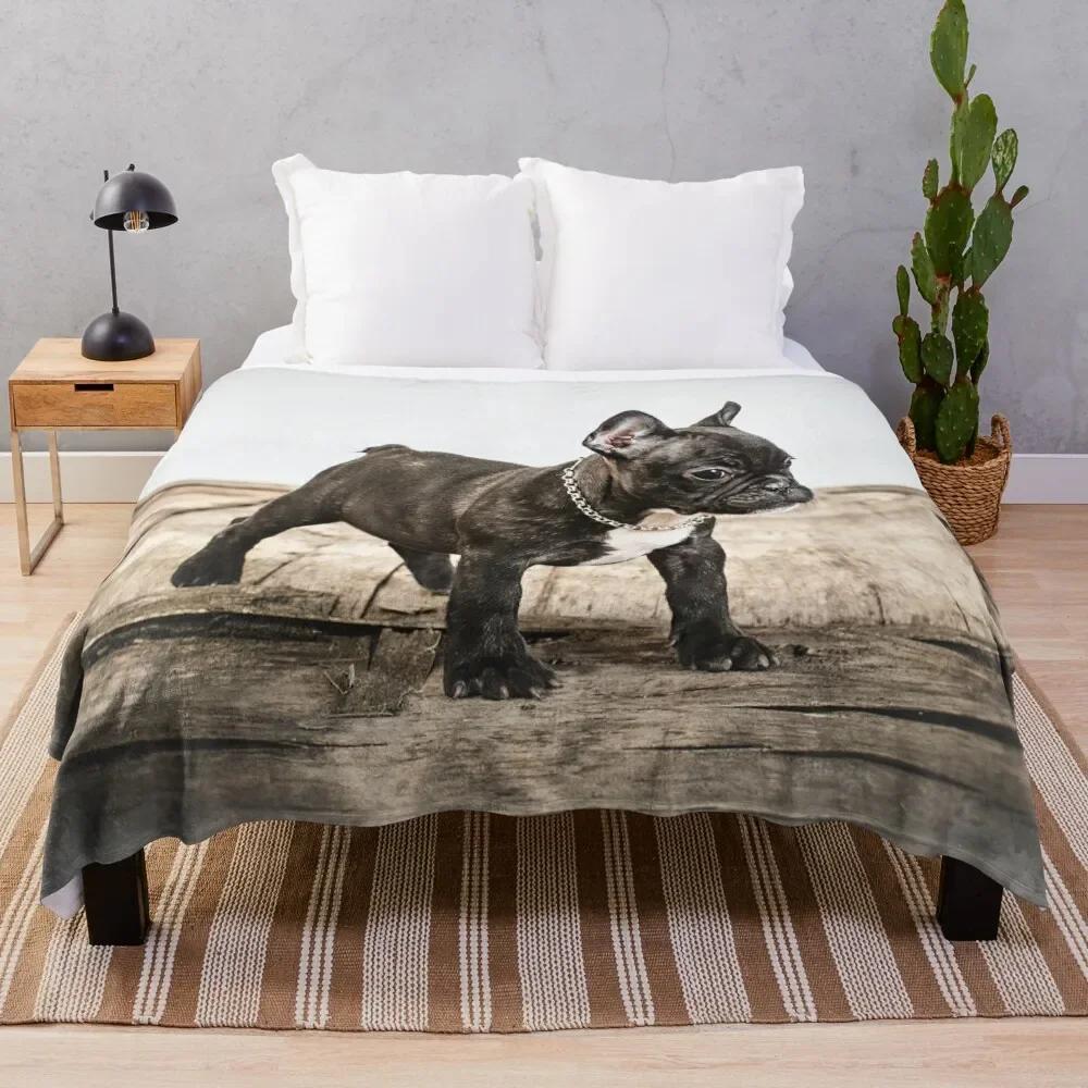 ����ġ �ҵ� �ʻ�ȭ ������ ���, ���� ������ �ܿ� �̺� ���